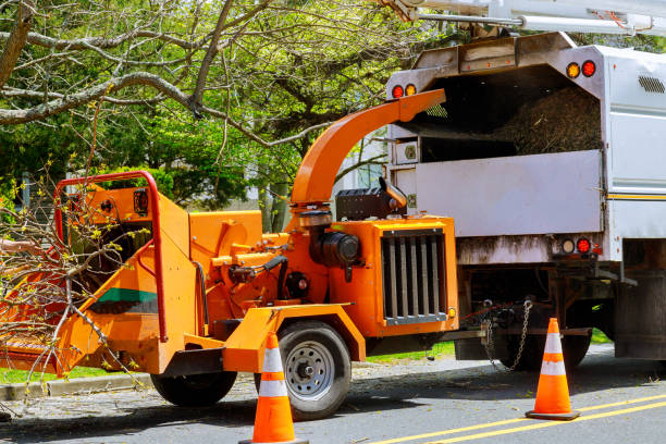 Why Choose Our Tree Removal Services in Union Hall, VA?